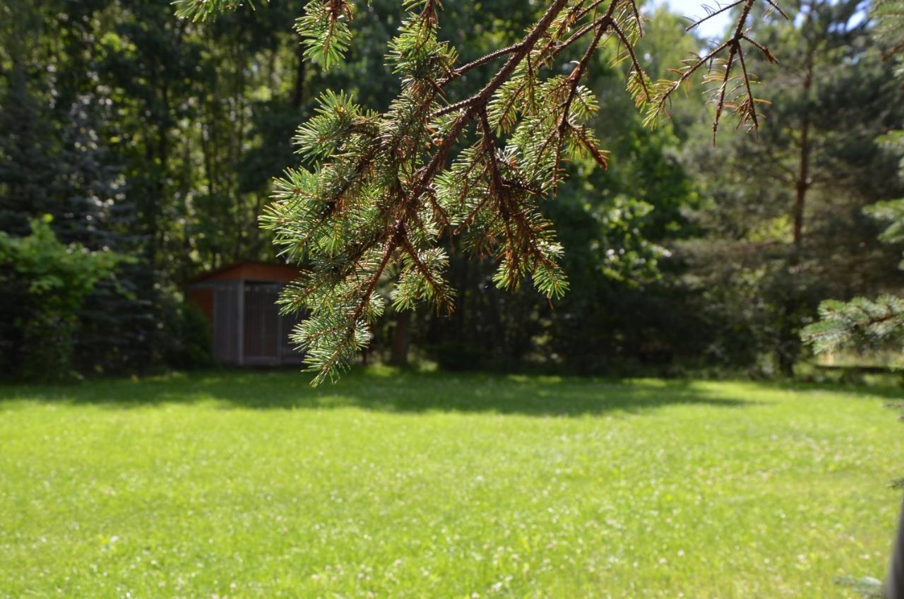 Agroturystyka Czekaj Przy Suntago Lublinow Eksteriør bilde