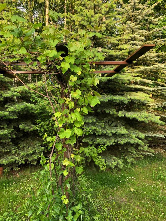 Agroturystyka Czekaj Przy Suntago Lublinow Eksteriør bilde